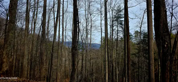 Emerald Springs Loop, Sevierville, TN 37862