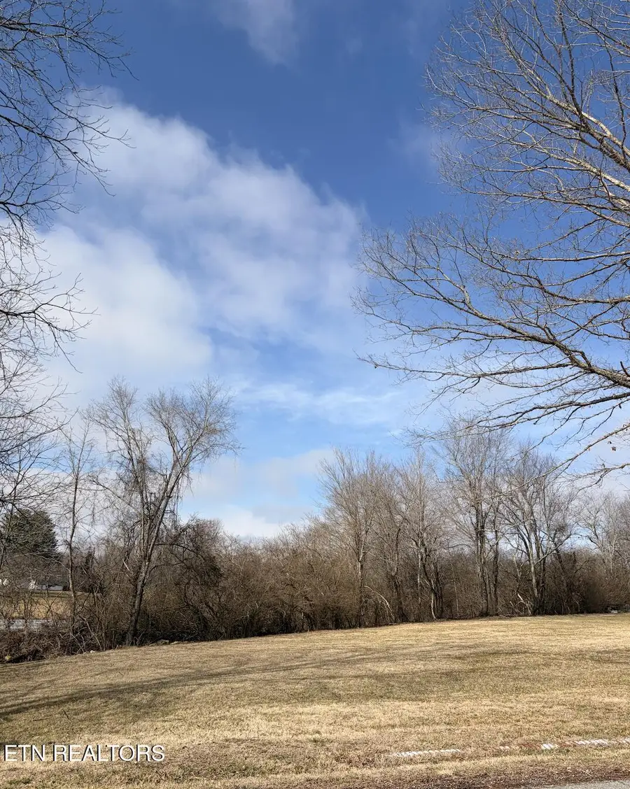 65 Dorton Access Rd, Crossville, TN 38555 - #2