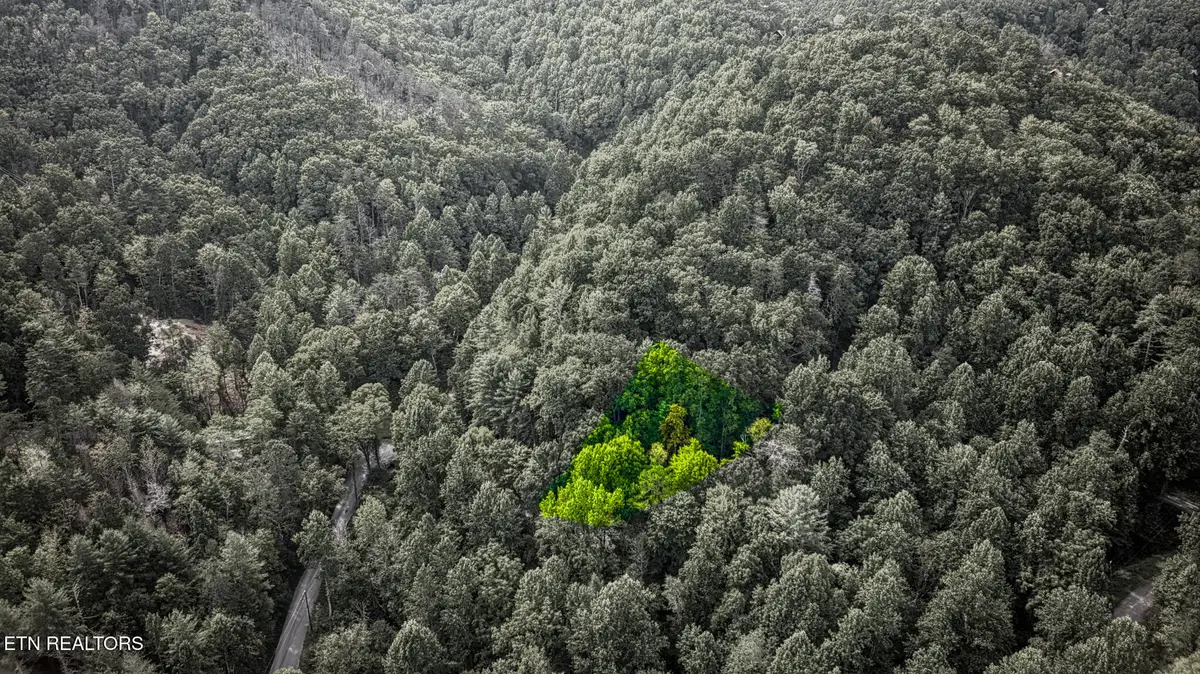 Lot 10 Stepping Stone Drive, Sevierville, TN 37862 - #1