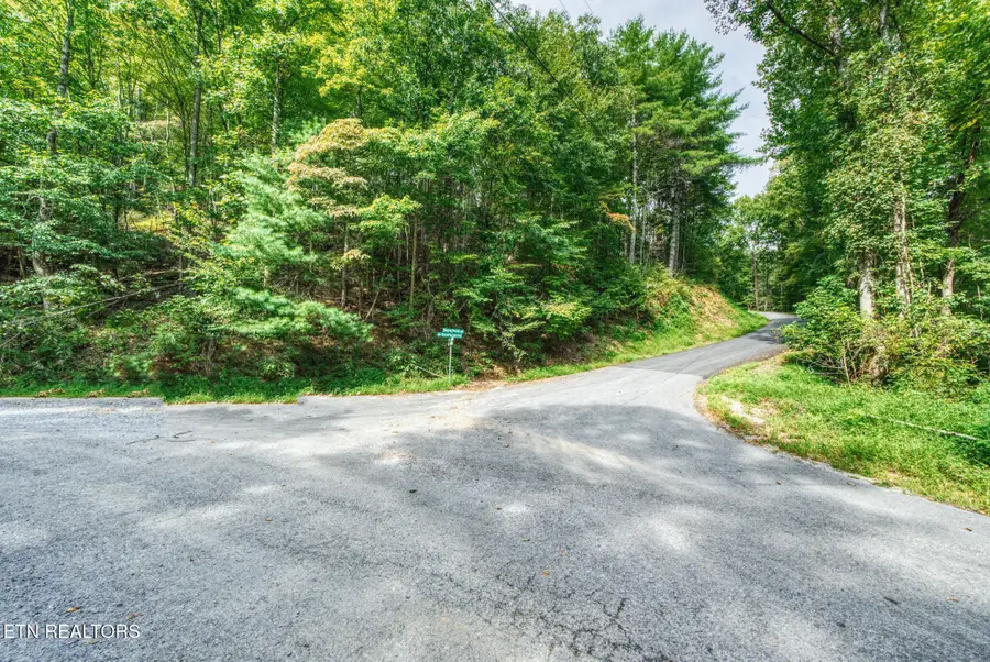 Lot 10 Stepping Stone Drive, Sevierville, TN 37862 - #3