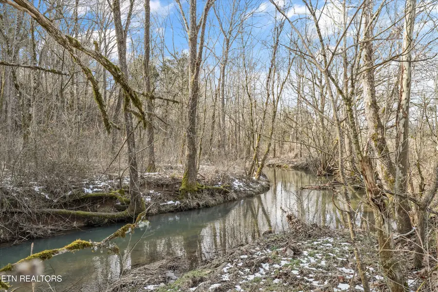 1333 Cherry St, Rutledge, TN 37861 - #2