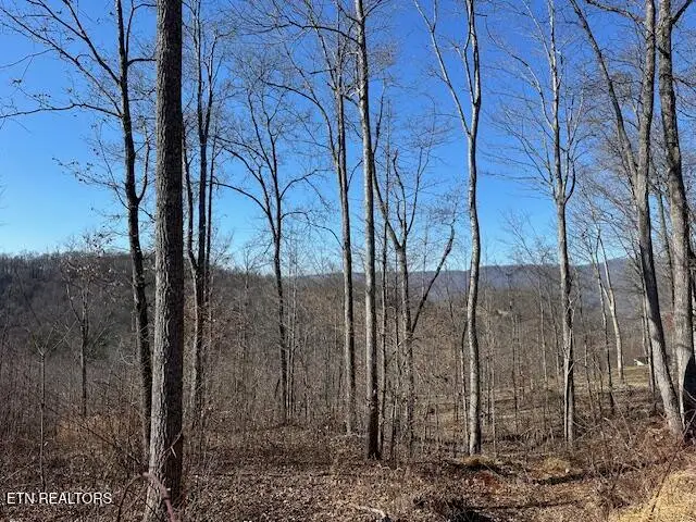 Dooley Hollow Rd, Ewing, VA 24248 - #1