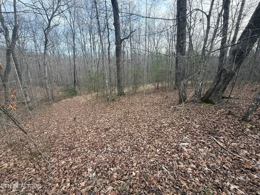 T Road Rd, Monterey, TN 38574 - #2