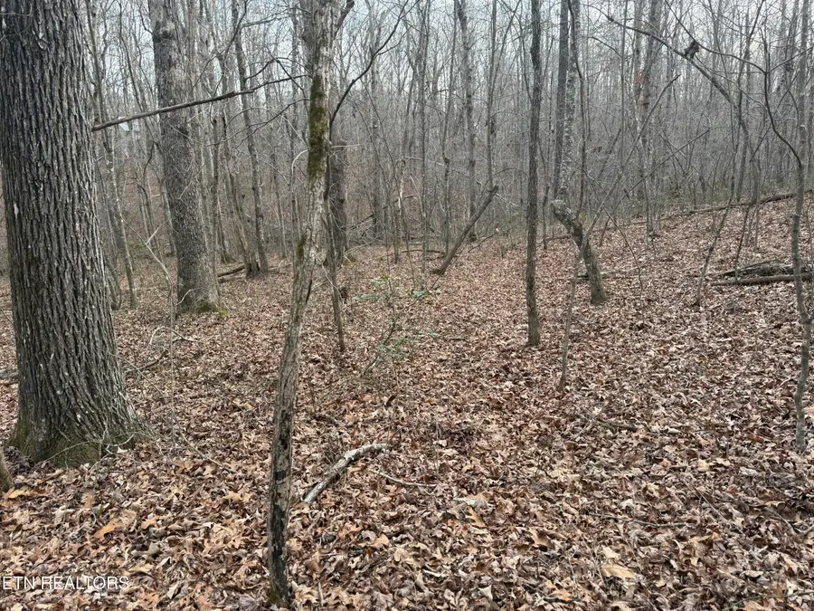 T Road Rd, Monterey, TN 38574 - #3