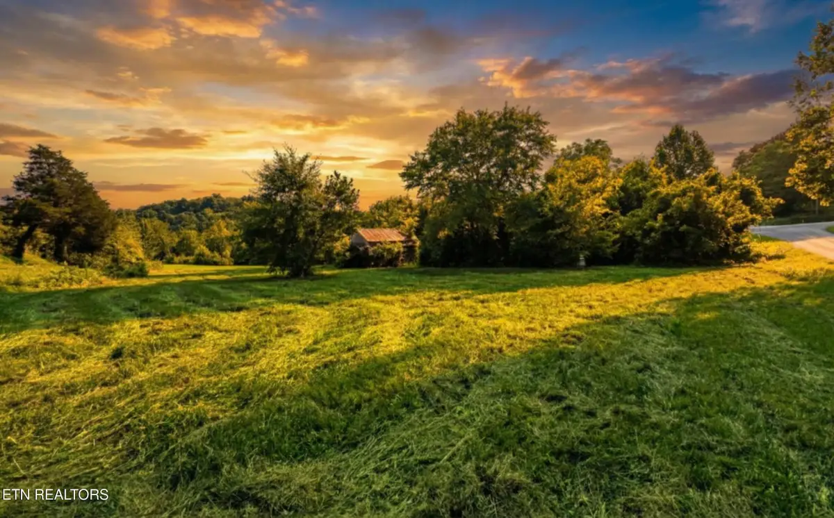 Leadvale Church Rd, White Pine, TN 37890 - #1