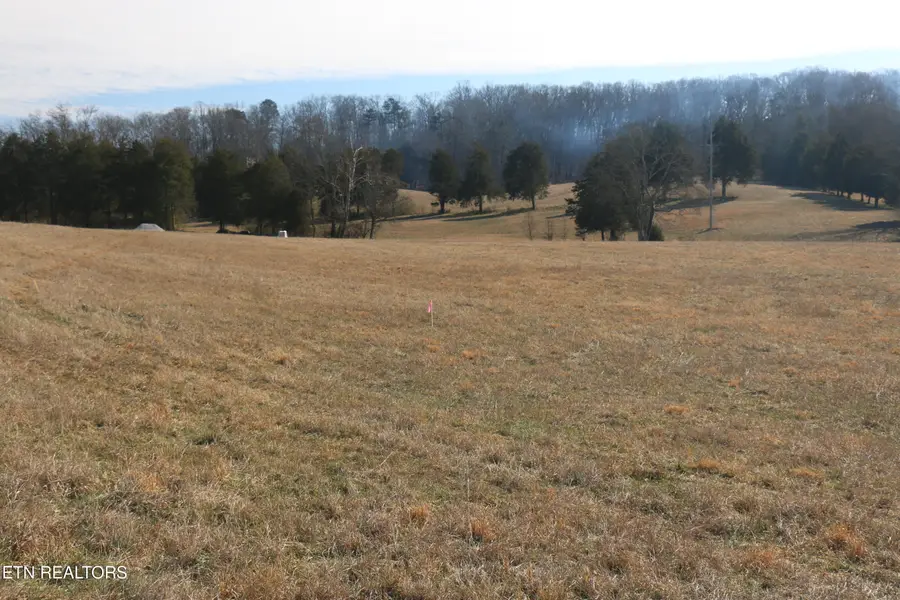 9.31 Acres Highway 39, Athens, TN 37303 - #2