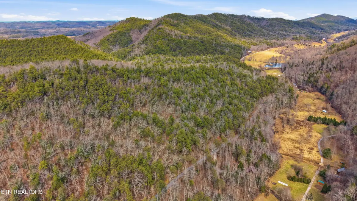 Steer Creek Rd, Tellico Plains, TN 37385 - #1