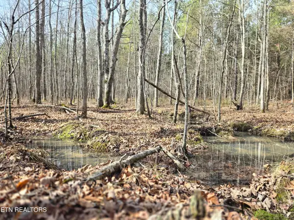 0 Cottonwood Tr, Sunbright, TN 37872