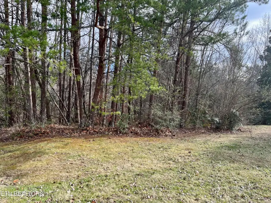 Lot 26 Blue Dun Court, Pigeon Forge, TN 37863 - #2