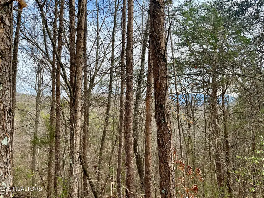 Lot 26 Blue Dun Court, Pigeon Forge, TN 37863 - #3