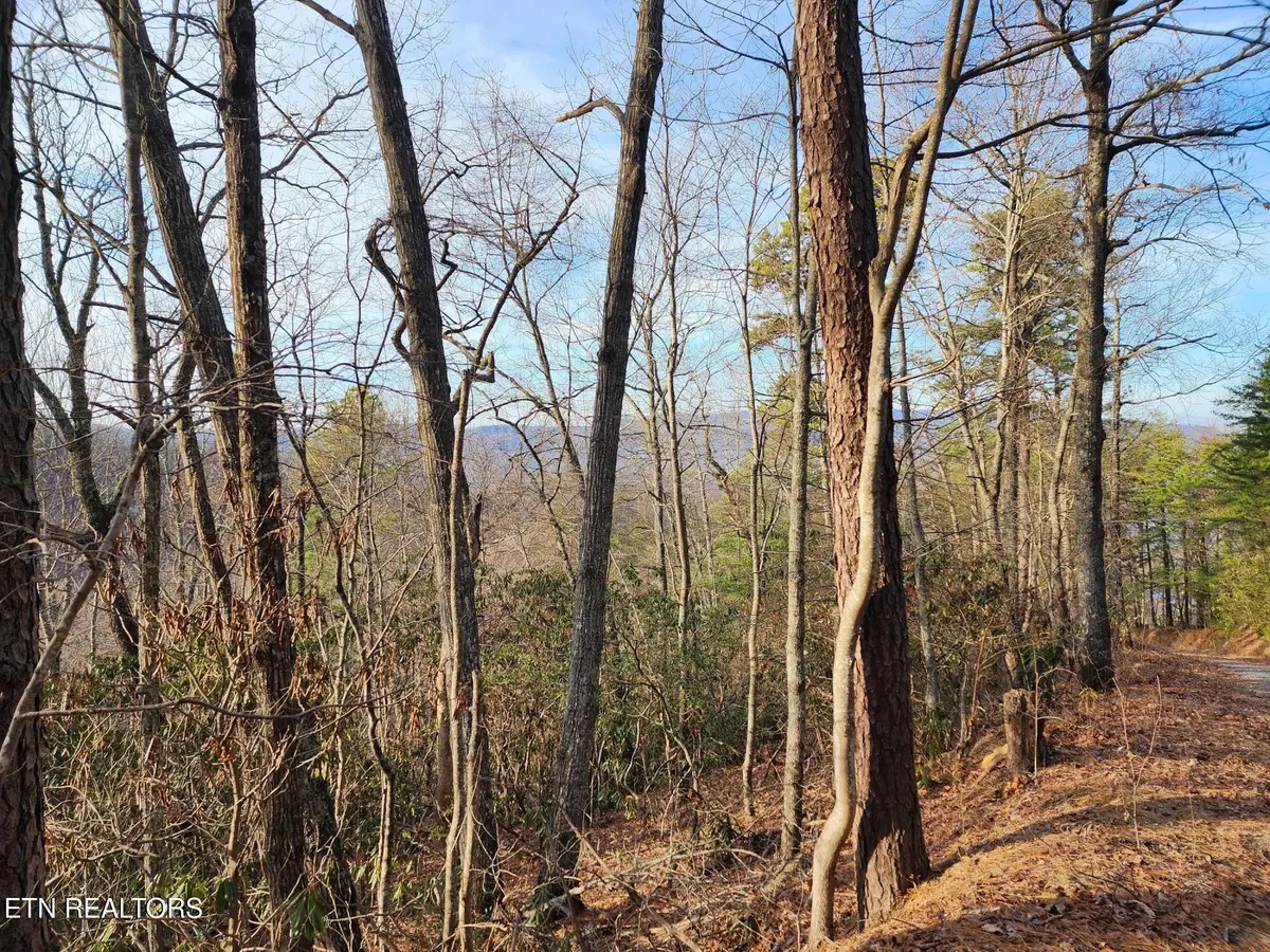 3008 Overholt Trl Lot 8r, Sevierville, TN 37862 - #1