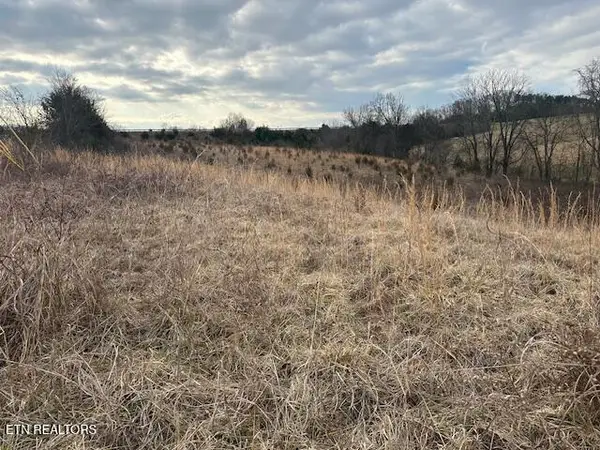 000 Old Parrottsville Hwy, Parrottsville, TN 37843