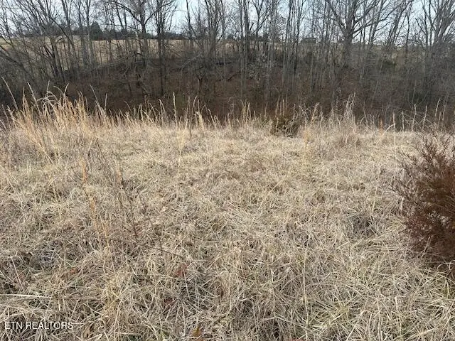 000 Old Parrottsville Hwy, Parrottsville, TN 37843 - #2