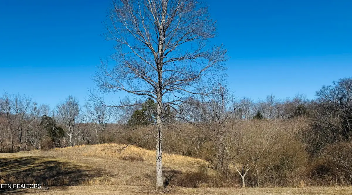 409 Carroll Hollow Rd, Clinton, TN 37716 - #1