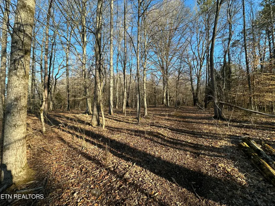 616 N Wooddale Rd, Knoxville, TN 37924 - #2