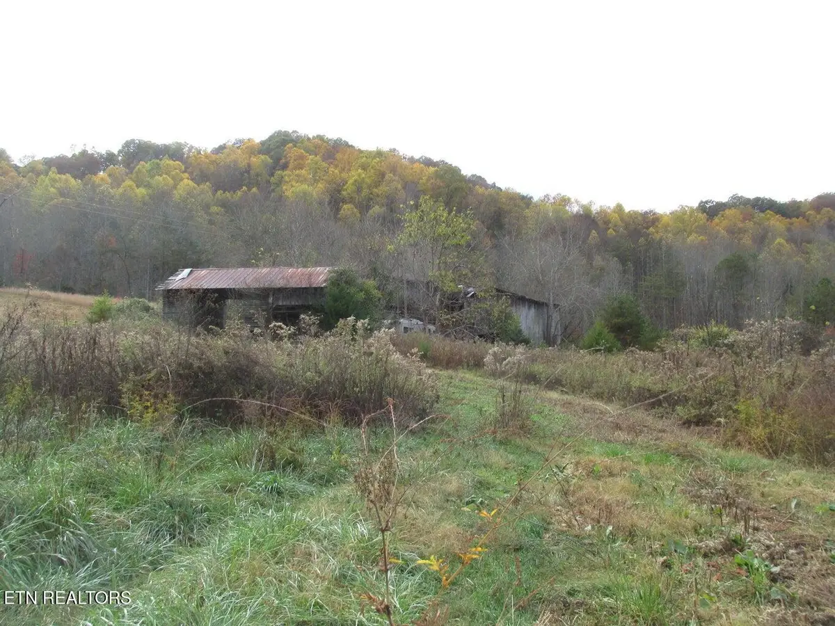 5194 Jones Cove Rd, Cosby, TN 37722 - #1