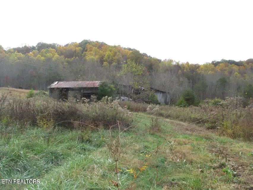 5194 Jones Cove Rd, Cosby, TN 37722 - #3