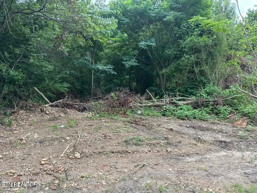 Mexico Lane, South Wallins, KY 40873 - #2