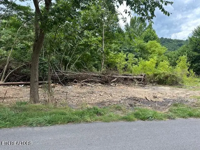 Mexico Lane, South Wallins, KY 40873 - #3