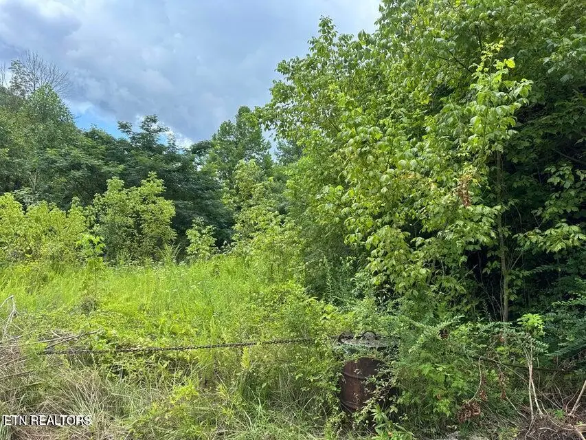 Ky-219, Wallins, KY 40873 - #3