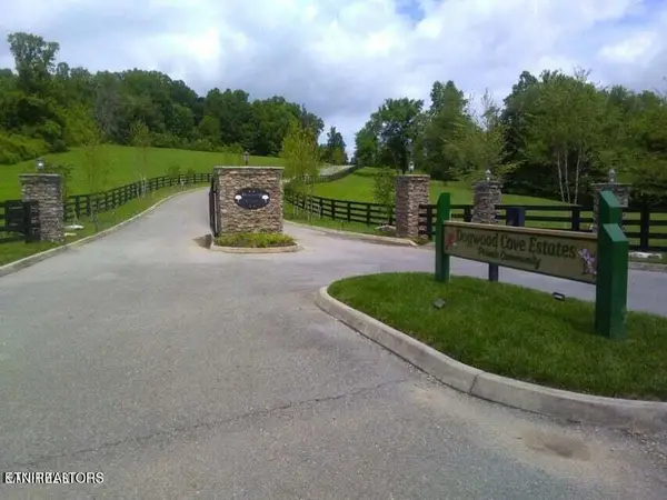 Lot 20 Dogwood Cove Drive, Spring City, TN 37381