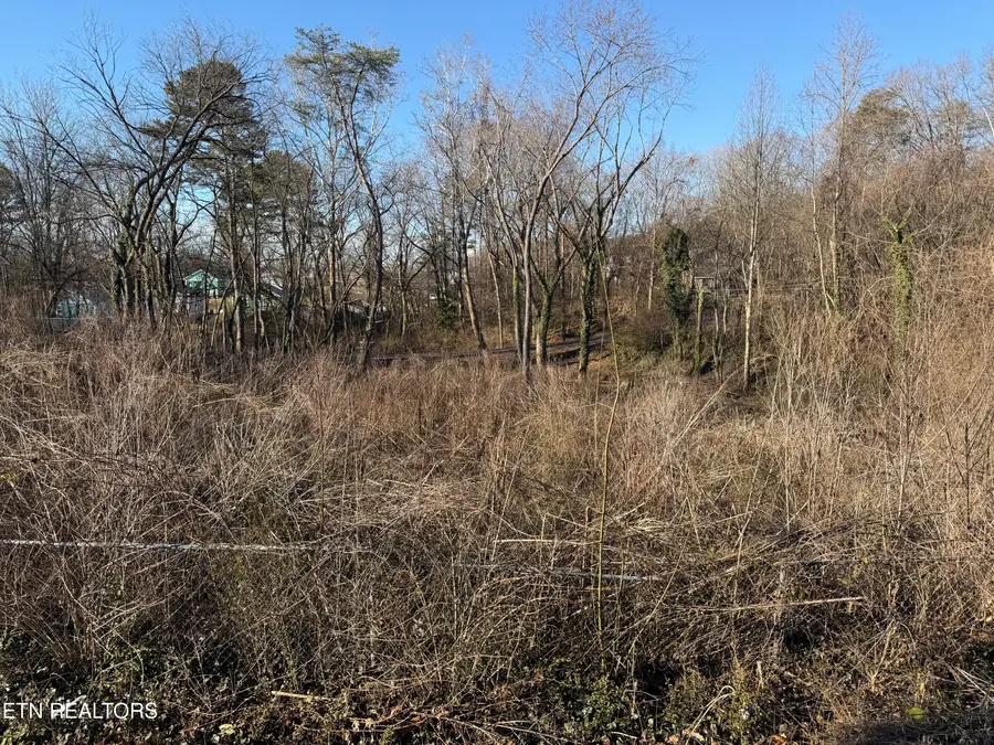 3335 Divide St, Knoxville, TN 37921 - #3