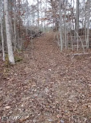 252 Haven Way, Lenoir City, TN 37771