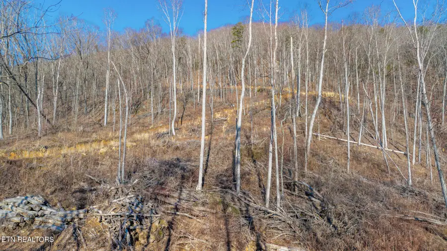 177 Eagle View Lane, Jacksboro, TN 37757 - #3