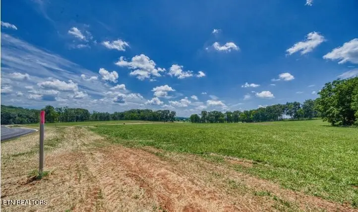 LOT 9R 848 Sophie Drive, Greenback, TN 37742 - #2