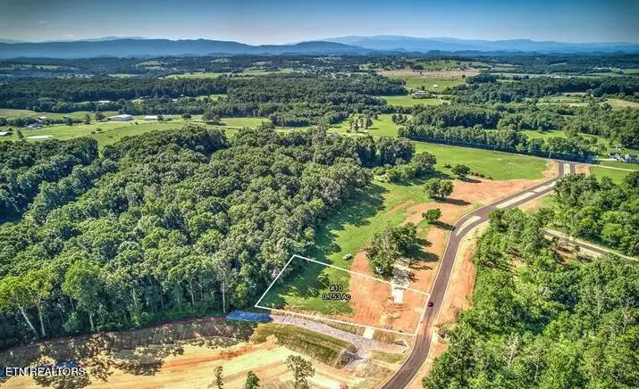 LOT 9R 848 Sophie Drive, Greenback, TN 37742 - #3