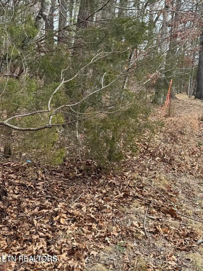 321 Ritchey Rd, Loudon, TN 37774 - #1