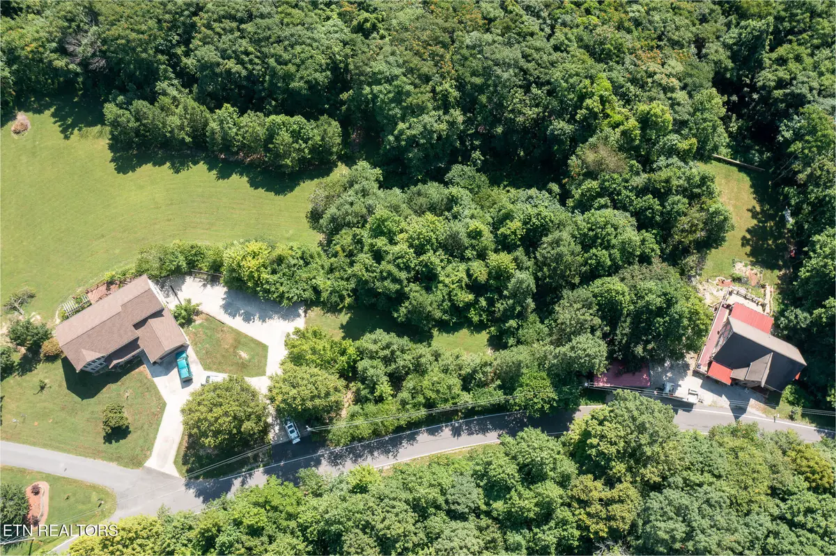 55 & 56 Lillydale Rd, Byrdstown, TN 38549 - #1