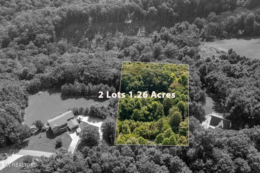 55 & 56 Lillydale Rd, Byrdstown, TN 38549 - #3