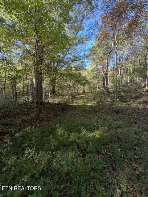 739 Dry Branch Rd, Ewing, VA 24248