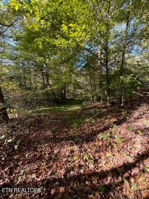 739 Dry Branch Rd, Ewing, VA 24248 - #3