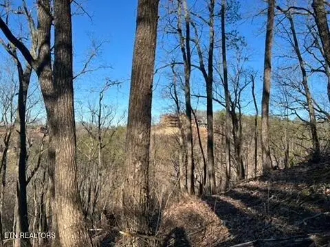 2353 Headrick Lead, Sevierville, TN 37862 - #1