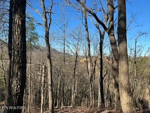 2353 Headrick Lead, Sevierville, TN 37862 - #3