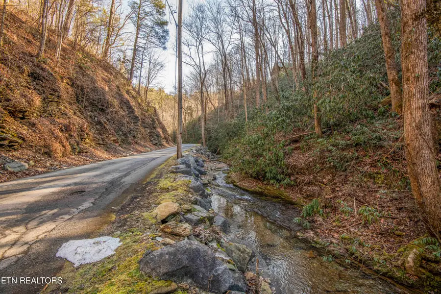 N Clear Fork Rd #Lot 4, Sevierville, TN 37862 - #3