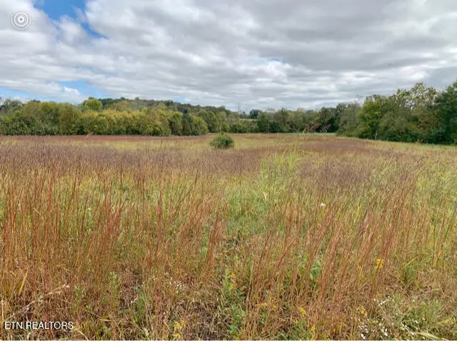 724 Blue Water Drive, Cookeville, TN 38506 - #1