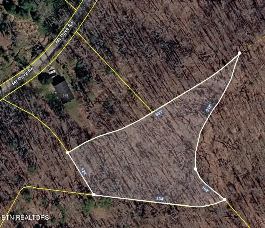 698 Mount Olive Rd, Andersonville, TN 37705 - #3