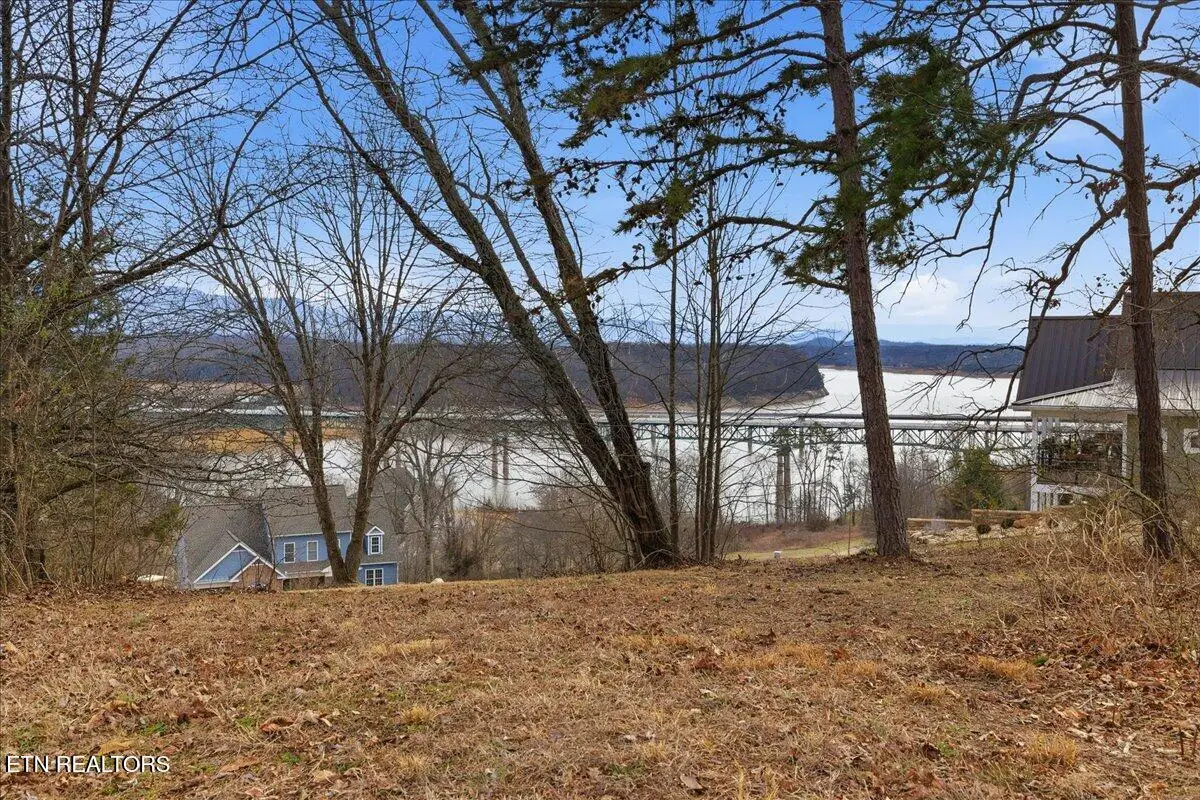 Lot 39 Buckhead Tr, White Pine, TN 37890 - #1