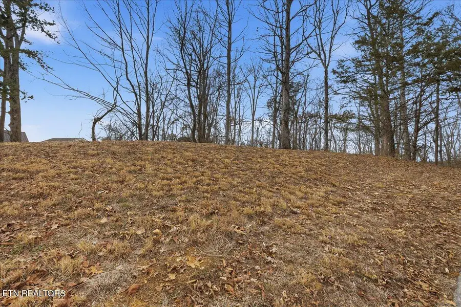 Lot 39 Buckhead Tr, White Pine, TN 37890 - #2