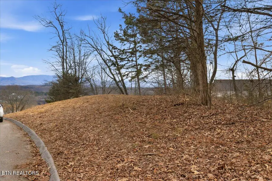 Lot 39 Buckhead Tr, White Pine, TN 37890 - #3