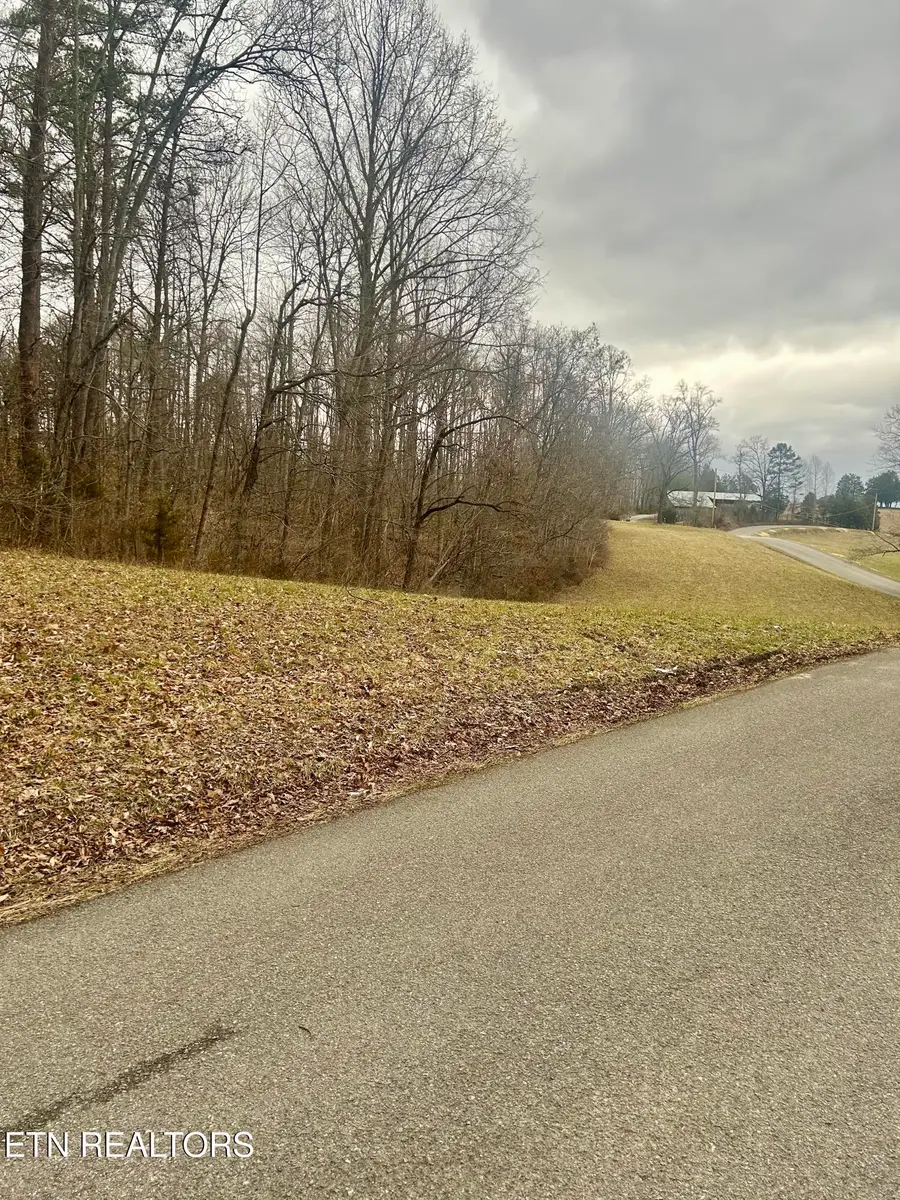 River Rd, Jacksboro, TN 37757 - #3