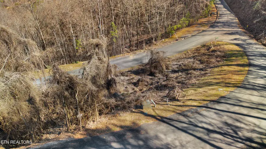 Lot 34-r Pine Peak Way, Sevierville, TN 37862 - #3
