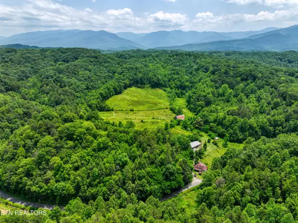 1A 4255 Lower Powdermill Rd, Sevierville, TN 37876