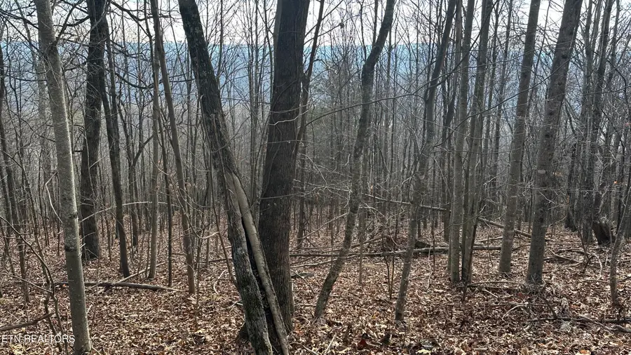 616 Chimney Rock Rd, New Tazewell, TN 37825 - #2