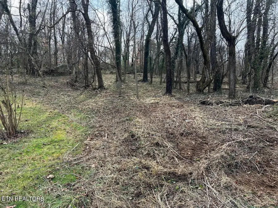 4410 Cave Mill Rd, Maryville, TN 37804 - #3