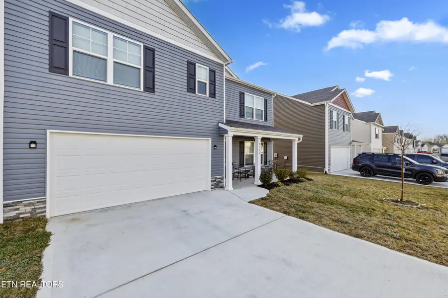 9535 River Cane Rd, Mascot, TN 37806 - #2