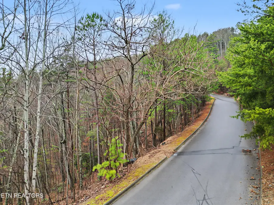 Autumn Ridge Way, Sevierville, TN 37876 - #3